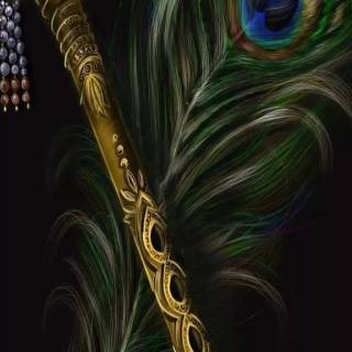 Krishna peacock feather wallpaper