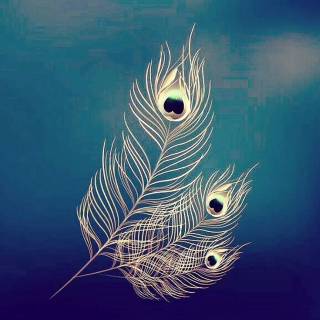 Krishna peacock feather wallpaper