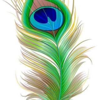 Krishna peacock feather wallpaper