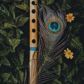 Krishna peacock feather wallpaper