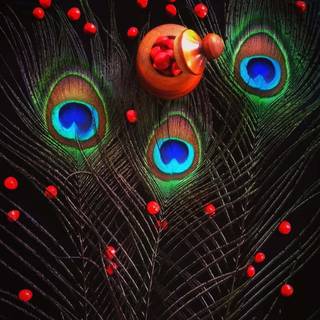 Krishna peacock feather wallpaper