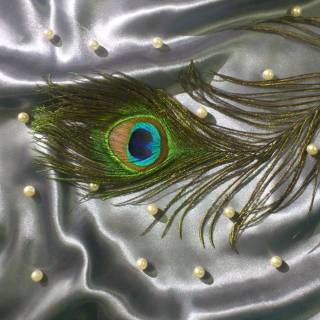 Krishna peacock feather wallpaper