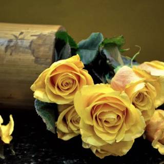 Flowers 1920x1080 wallpaper