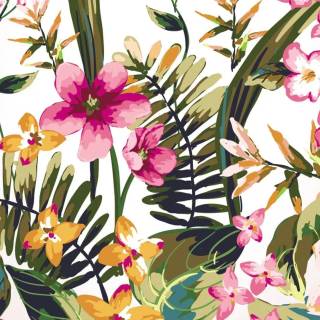 Flowers 1920x1080 wallpaper