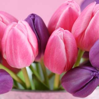 Flowers 1920x1080 wallpaper