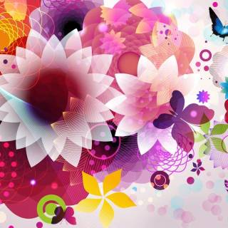 Flowers 1920x1080 wallpaper