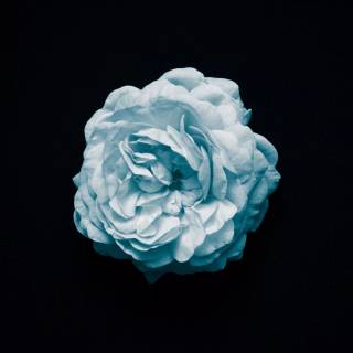 Black and light blue wallpaper