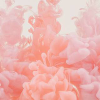 Light pink and white wallpaper