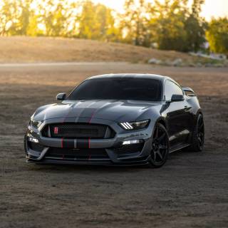 Mustang modified wallpaper