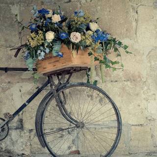 Bike laptop wallpaper