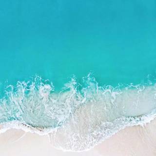 Ocean vibes wallpaper