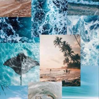 Ocean vibes wallpaper