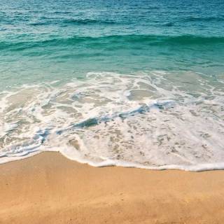 Ocean vibes wallpaper