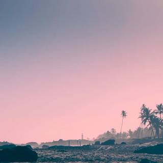 Ocean vibes wallpaper