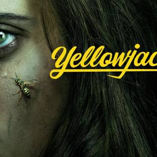 Yellowjackets wallpaper