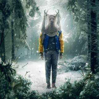 Yellowjackets wallpaper