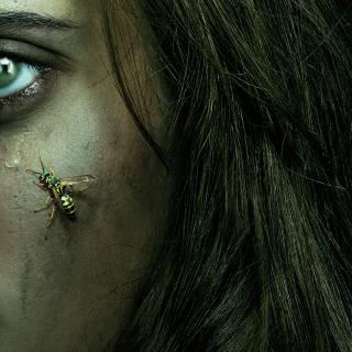 Yellowjackets wallpaper