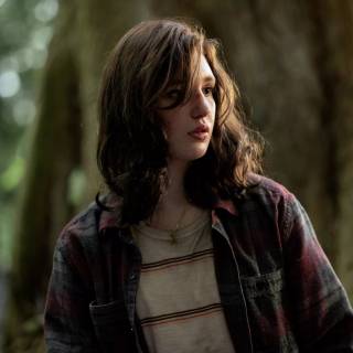 Yellowjackets wallpaper