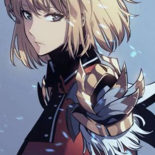 Cha Hae-in Solo Leveling wallpaper