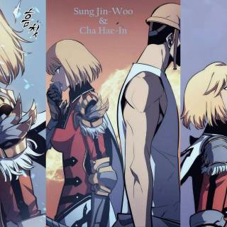 Cha Hae-in Solo Leveling wallpaper