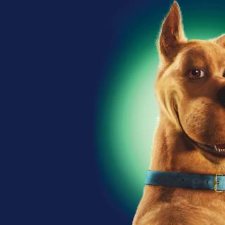 Scooby-Doo movie 2002 wallpaper