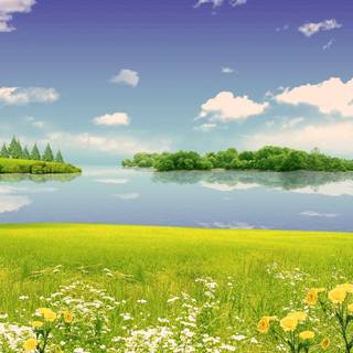 Spring to summer wallpaper