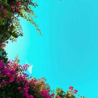 Spring to summer wallpaper