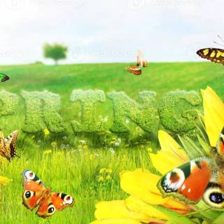 Spring to summer wallpaper