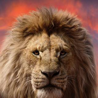 Mufasa phone wallpaper