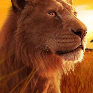 Mufasa phone wallpaper
