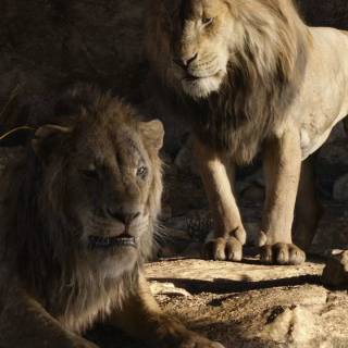 Mufasa phone wallpaper