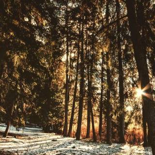 Redmi 720x1600 wallpaper