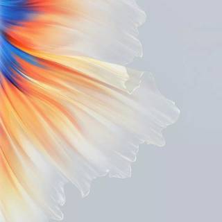 Redmi 720x1600 wallpaper