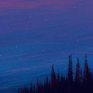 Redmi 720x1600 wallpaper