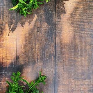 Refreshing mint wallpaper