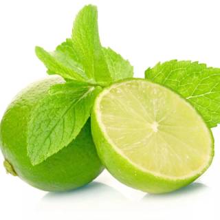 Refreshing mint wallpaper