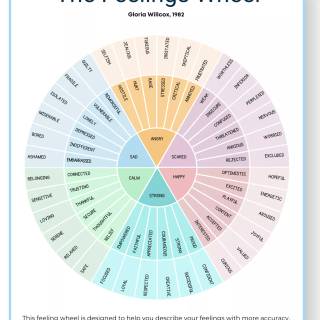 Emotion wheel wallpaper