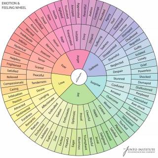 Emotion wheel wallpaper