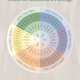 Emotion wheel wallpaper
