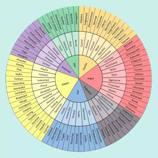 Emotion wheel wallpaper