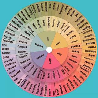 Emotion wheel wallpaper