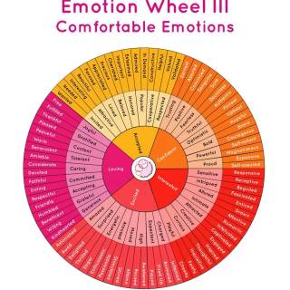 Emotion wheel wallpaper