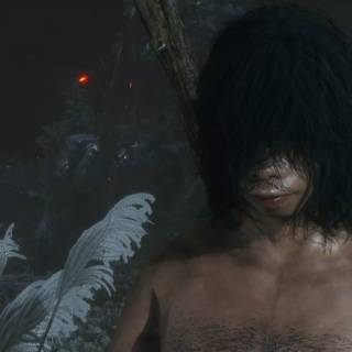 Sekiro Shura wallpaper