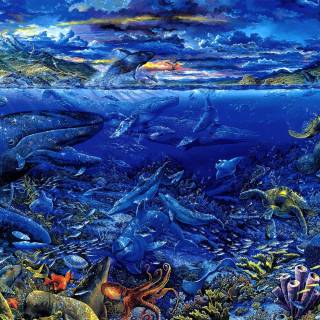 Underwater creatures wallpaper