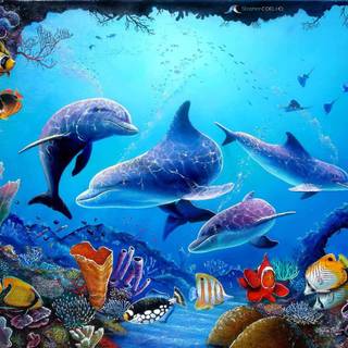 Underwater creatures wallpaper