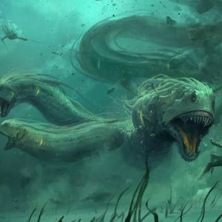 Underwater creatures wallpaper