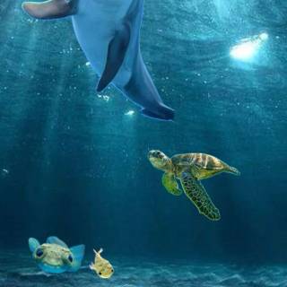 Underwater creatures wallpaper