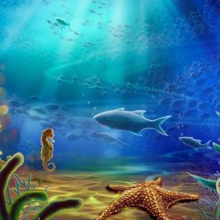Underwater creatures wallpaper