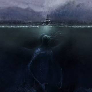 Underwater creatures wallpaper