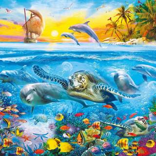 Underwater creatures wallpaper